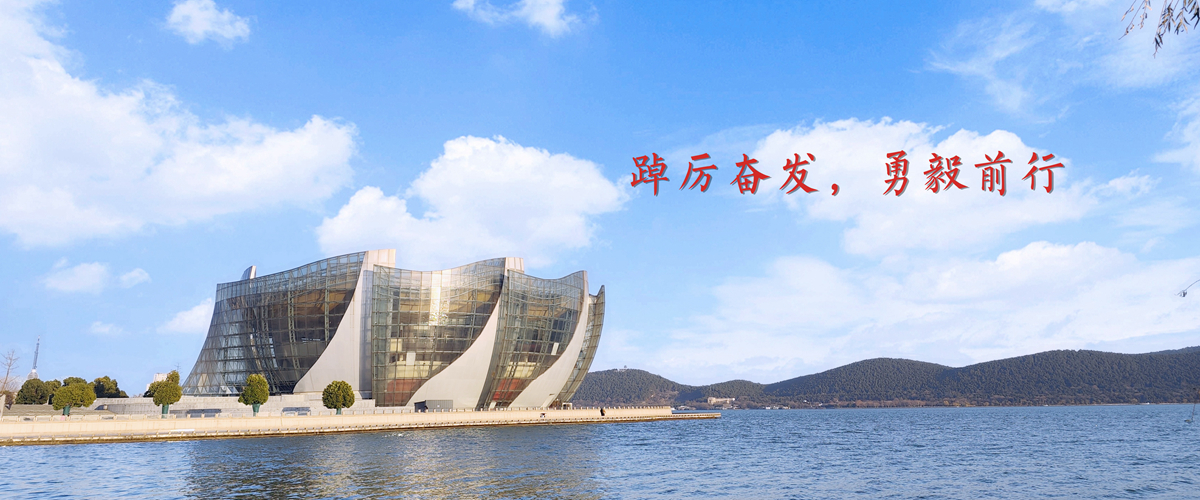 踔厉奋发，勇毅前行
